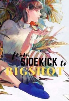 From Sidekick to BigshotFrom Sidekick to Bigshot