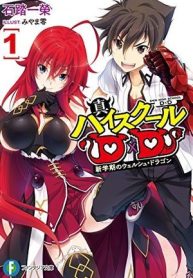 Shin High School DxD