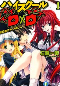 High School DxD