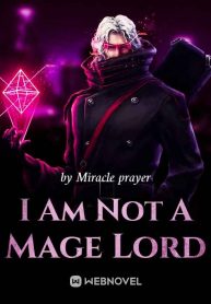 I Am Not A Mage Lord