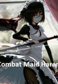 Combat Maid Harem