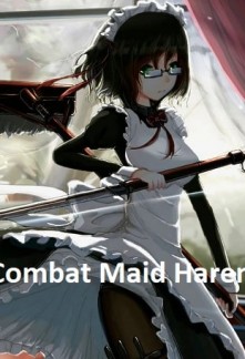 Combat Maid HaremCombat Maid Harem